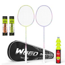 전문 탄소 섬유 배드민턴 라켓 뒷마당 체육관용 라켓(2/4팩) 118832