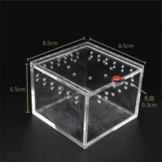 寵物來了 透明爬蟲飼養箱(小) 觀察箱 昆蟲用, 1個, 寵物來了透明爬蟲飼養箱(小)