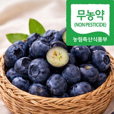 [프리미엄] 국산 무농약 생 블루베리 수지블루 생과 200g 300g 400g 500g, 1개, 무농약 수지블루 블루베리 (특) 300g