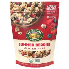 자연의 길 허니 아몬드 그래놀라 11온스(1팩) 텐 프리 비 제품(Non-GMO), Nature's Path Organic Summer B, 312g, 1개