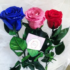 永生花 萬花。瞳 不凋花-永生玫瑰 帶梗帶葉整株永生花/婚禮佈置/捧花/乾燥花束/拍照道具, 紅系, 紅系