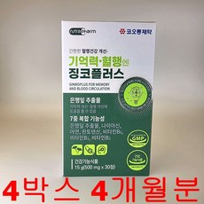 코오롱 기억력감퇴 뇌 혈관 혈액순환 약2달분, 120정, 1개