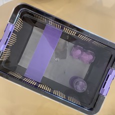 크레스티드게코 도마뱀 사육장 조이클린케이지 대 블랙, 1개, 손잡이-핑크