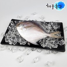 해물총각 선상 급속냉동 병어, 10개, 50g-100g