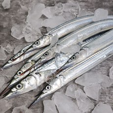 통영 거제 자연산 학꽁치 급랭 1kg, 1개