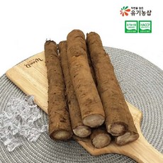 국산 우엉 유기농 국내산 500g, 1개