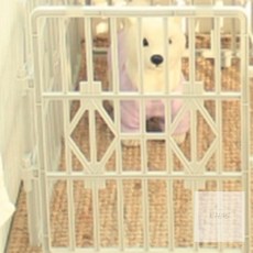 경희의마실 강아지 울타리 소형8P 그레이 새끼강아지울타리