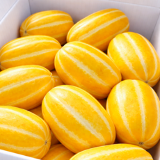 [재구매율1위] 농가직송 고당도 프리미엄 성주참외, 1박스, 5kg