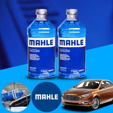 에스코트 말레 프리미엄 에탄올 워셔액 2L 청포도향 2개