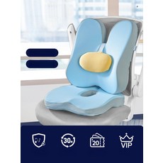 데일리셀픽 허리디스크의자등받이, 업그레이드 마카롱 세트 블루