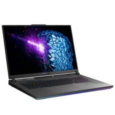 에이수스 ROG 스트릭스 18 코어i9 인텔 13세대 지포스 RTX 4060, Eclipse Gray, 1024GB, 16GB, Free DOS, G814JV-N6024