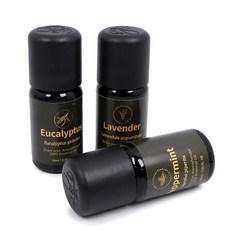 마켓주하 아로마 에센셜 오일 10ml 더허브샵, 페퍼민트