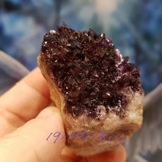 【土桑展精選寶物】仙人掌水晶191207 7-9號(Cactus Quartz) 南非, 1個, 191207-8
