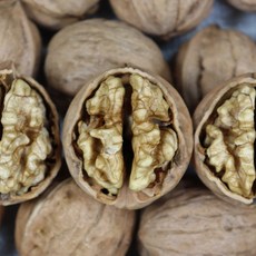 국산 안동 햇 호두 1키로 2키로 안동호두 피호두 알호두 (호두망치드림), 1세트, 1kg