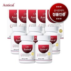 [국내 최초] 안티칼 알파 4500 초강력 알파올라민, 5개, 60정
