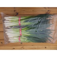 흙대파 원물 가정용 요리용, 1kg, 1개