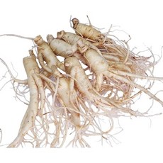 정성껏 재배한 농가인삼.믿을수있는수삼.(꼼꼼한검수 세척한 인삼.세척)진공포장은덤 다양한 크기의 폭넓은 선택사항, 1개, 05- 무료세척-잔난발삼 25뿌리이상 700g