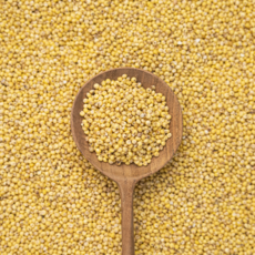 [정성든]국산 찰기장 1kg 햇곡, 1개