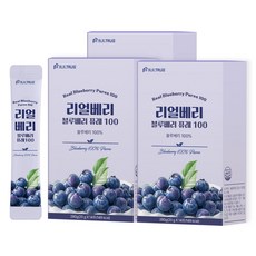 빌트루 리얼베리 블루베리 퓨레 100 스틱 즙, 42개, 20g