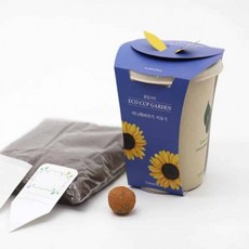 컵가든 해바라기 식물기르기 씨앗키우기 꽃씨 씨앗화분, 상세페이지 참조