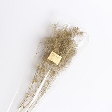 화연양화 프리저브드플라워 안개꽃 미니안개 13색, 11 골드