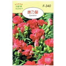 天星牌 康乃馨種子 F-340 家庭園藝 種子 8月-4月播種