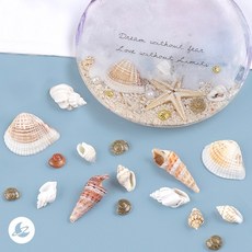 리얼 소라 고둥 파츠 레진 아트 공예 재료 R133, 4.믹스, 1개