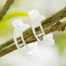 클립형 식물지지대 줄기 고정 집게 50p, 1개