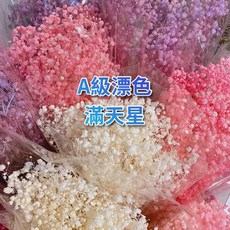 無名精選 滿天星乾燥花, 漂色/紫