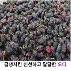 국내산 신선하고 달콤한 특품 오디 생과 1kg 2kg 4kg 8kg 국산 햇오디 오디열매 토종 야생 특품 오디 산뽕오디, 2개