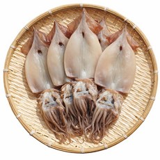 [재구매율1위] 반건조 오징어 구룡포 해풍 건조 최상품 디아머스, 1세트, 750g 내외 (5미)