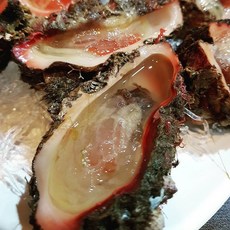 통영 자연산 참소라 뿔소라 해녀채취, 돌멍게1kg(6미내외 1~2인 횟감), 1개