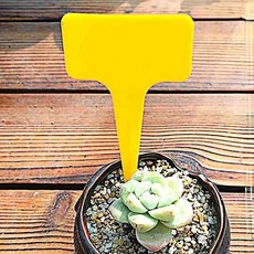 T자형 식물 이름표 옐로우 텃밭 화분라벨 jga*764OU