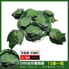 仿真葡萄葉藤蔓爬山虎藤條，常青藤綠蘿植物假綠葉吊頂裝飾，台灣熱銷綠植裝飾, 20葉彩印葡萄藤（12條裝）, 1個