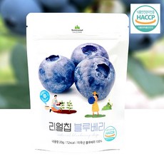산마을 리얼칩 블루베리, 20g, 1개