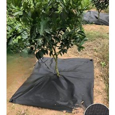 나무 방초망 농업용 천 제초망 방지 잡초 제초매트 잔디밭 방초포 가정용 묘목보호, (개당) 2-3년 (120x120) 50장