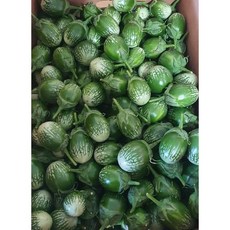 국내재배 태국가지 커밋가지 마크아 베트남 동남아 가지, 태국마크아초록가지 1kg ត្រប់ស្រួយខៀវ×1개