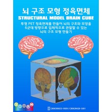 뇌 구조 모형 정육면체 만들기-IUB