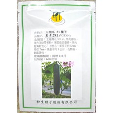 【野菜部屋】夏青291 F1 大胡瓜種子 耐熱 耐露菌病 600粒裝, 1包