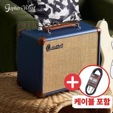 베이스 기타 앰프 고퍼우드 아크베이스15 ArkBass15 2세대 / 연습용 15W 똘똘이, 1개