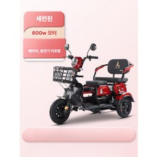 3륜 스쿠터 삼토바이 배달 전기 어르신, 600W 배터리 미포함, 48V