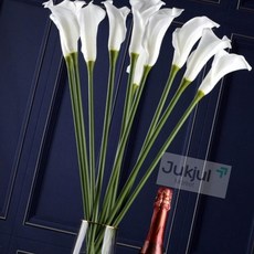 적절상회 카라 조화 화이트