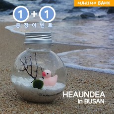 원플러스 [1+1] 화이트 해운대오리DIY세트-마리모소(5mm)포함, 1개