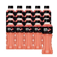 파워에이드 스칼렛스톰 600ml 20페트, 20개