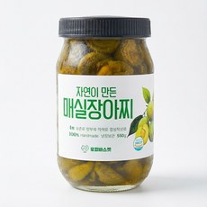 로컬바스켓 직접기른 수제 매실장아찌, 550g, 1개