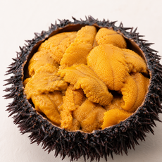 국내산 해수포장 생우니 성게알, 2개, 100g