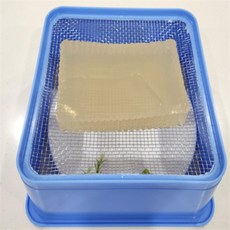 해밍웨이샵 사각 묵채 국산우뭇가사리채칼, 사각묵채 2호