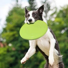 장난감 강아지 원반 프리스비 훈련 애견, 옐로우