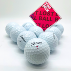 <탑픽> 최강품질보장! 타이틀리스트 PROv1 v1x 특A+급 로스트볼 / 필드라운딩용 특등급, 1개, 10개입, 화이트 1개, 10개입, 화이트