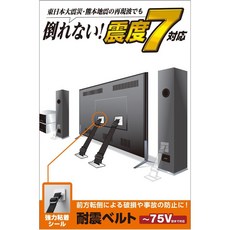 ELECOM 耐震電視安全帶 75吋 螺絲型 強力黏著型 耐震7級 TS-006N, 1個, 強力黏著型 TS-002N2 75吋以下, N/A